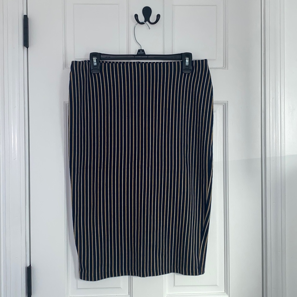 Zara Women’s Skirt (Size: L)